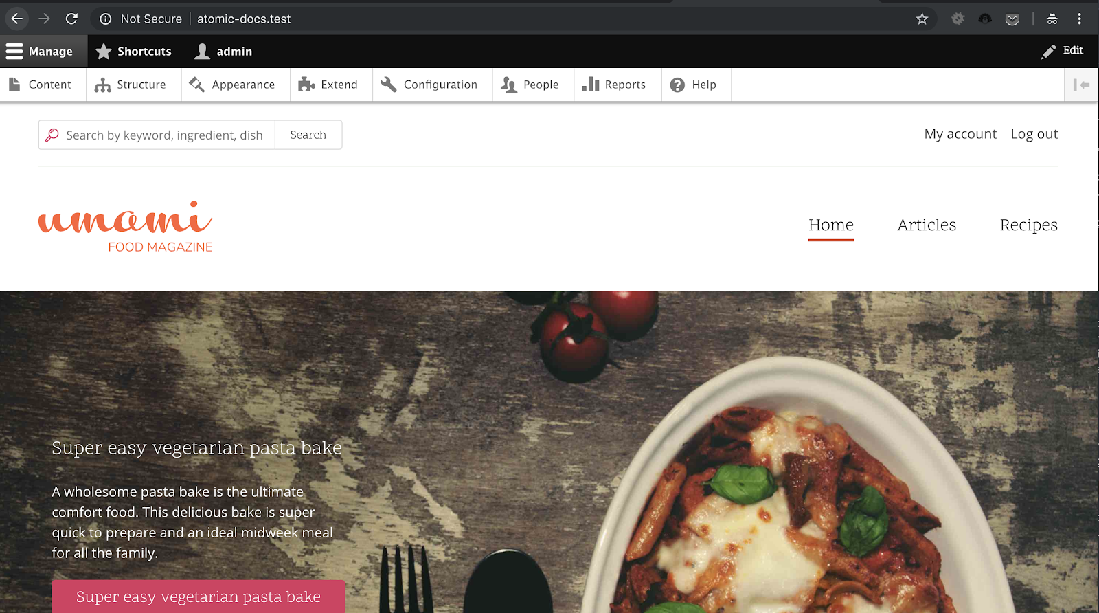 screenshot of umami food magazine