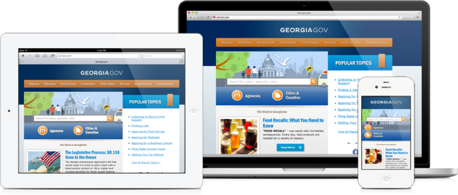 Demo of government website