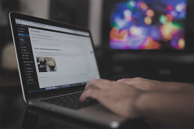 Wordpress Development
